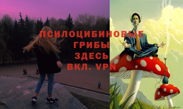 не бодяженный Абаза